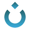 T1